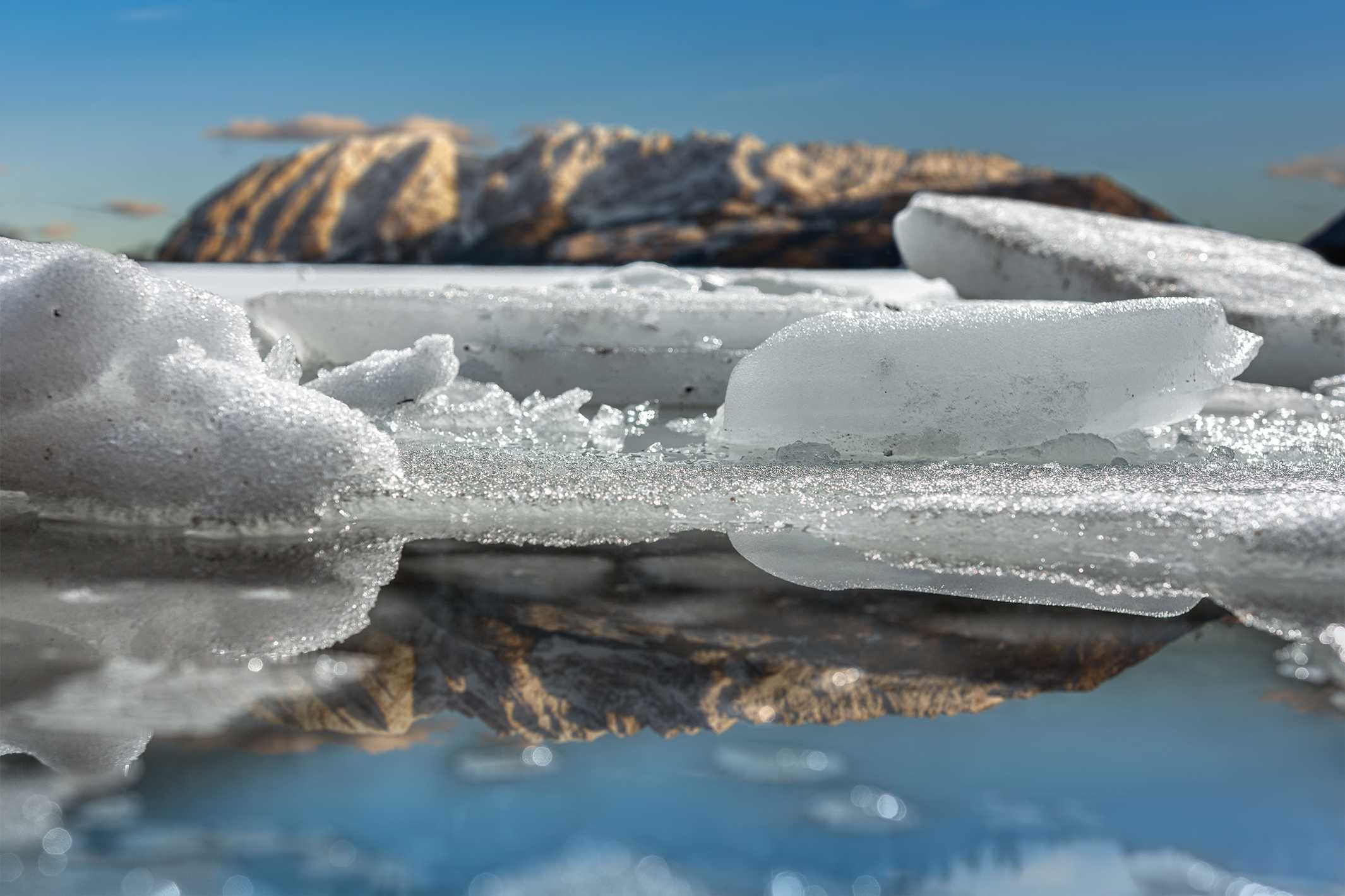 Alternativer Text grimming_klein